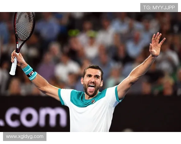 网球相逢成就传奇德约科维奇力克西里奇再书巅峰对决荣耀篇章时刻